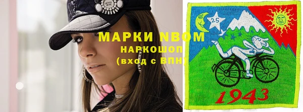 молекула духа Новозыбков